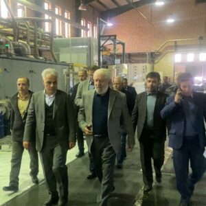 بازدید مدیرکل صنایع استان تهران از مجموعه کارخانجات تهران دلتا